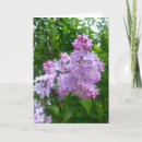 Zoek naar sering posters Tuin