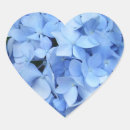 Zoek naar hydrangea hortensia stickers Voor haar