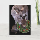 Zoek naar baby ezel kaarten Ezels