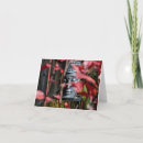 Zoek naar boedha kaarten Sereniteit