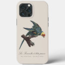 Zoek naar parkiet iphone hoesjes Illustratie