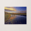 Zoek naar hol puzzels Usa