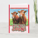 Zoek naar koeien beterschapskaarten Boerderij