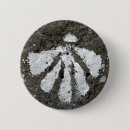 Zoek naar shell buttons Pelgrim