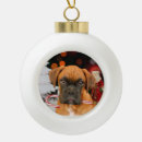 Zoek naar boxer dog ornamenten Kerst