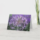 Zoek naar allium bloemen posters Plant
