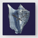 Zoek naar shells klokken Schelpen van zee