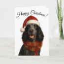 Zoek naar cockers kaarten Cocker spaniel