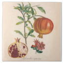 Zoek naar pomegranate tegels Granaatappels