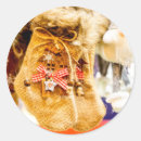 Zoek naar sokken stickers Feestdagen