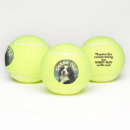 Zoek naar foto tennisballen Voor huisdieren