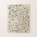 Zoek naar bomen puzzels Boom van het leven