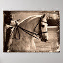 Zoek naar dressuur posters Equine