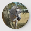 Zoek naar paar paarden klokken Voor iedereen