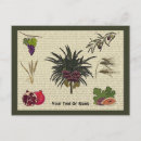 Zoek naar soorten briefkaarten Elk persoon