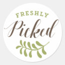 Zoek naar milieuvriendelijke stickers Organisch