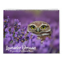 Zoek naar dromen kalenders Lavendel