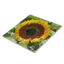 Zoek naar flora tegels Geel