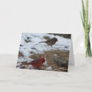 Zoek naar diner kaarten Natuur