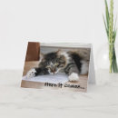 Zoek naar cat dad kaarten Elk persoon