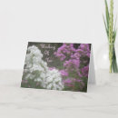 Zoek naar flox kaarten Roze