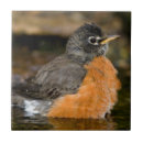 Zoek naar illinois tegels Niemand