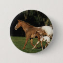 Zoek naar merrie buttons Merrie en veulen