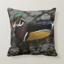 Zoek naar male kussens Groen