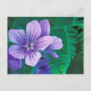 Zoek naar diepte briefkaarten Natuur