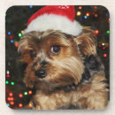 Zoek naar haat onderzetters Kerstboom