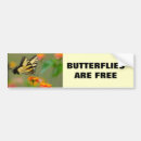 Zoek naar witte tijger bumperstickers Zwart