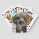 Zoek naar olifanten speelkaarten Dier