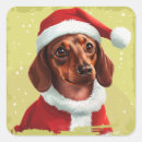 Zoek naar teckel kerstmis Plezier