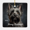 Zoek naar cairn terrier ornamenten Huisdier