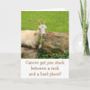 Zoek naar geit humor kaarten Dier