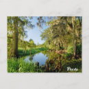 Zoek naar florida briefkaarten Fotografie