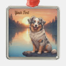Zoek naar australian shepherd ornamenten Australische herder
