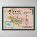 Zoek naar thyme kunst Kruid