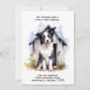 Zoek naar border collie briefkaarten Nieuw huis