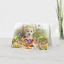 Zoek naar easter egg kaarten Hond