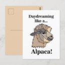 Zoek naar grappige lama briefkaarten Schattig
