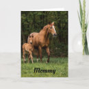 Zoek naar veulen kaarten Foto