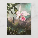 Zoek naar botanische illustratie briefkaarten Floreel