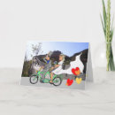 Zoek naar fiets humor kaarten Voor iedereen