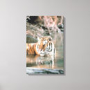 Zoek naar tijger hoofd kunst Natuur