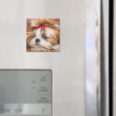 Zoek naar van een hond magneten Puppy