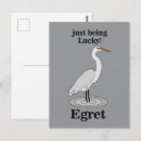 Zoek naar reiger briefkaarten Vogel