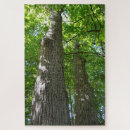 Zoek naar bloed puzzels Natuur