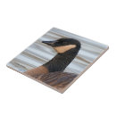 Zoek naar wilde vogels tegels Gans