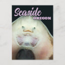 Zoek naar schaats briefkaarten Elk persoon